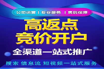 竞价推广代运营：成功案例解析
